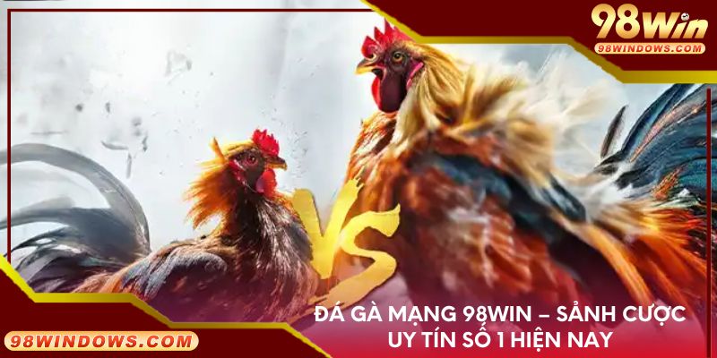 Đá gà mạng 98Win – Sảnh cược uy tín số 1 hiện nay